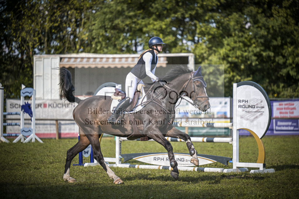 DOS_0841 | Entdecke hochwertige Reitturnierfotos von Foto Oger. Professionell, emotional und authentisch – jetzt Lieblingsmomente im Shop bestellen.Deutschlandweite Turnierfotografie. - Realisiert mit Pictrs.com