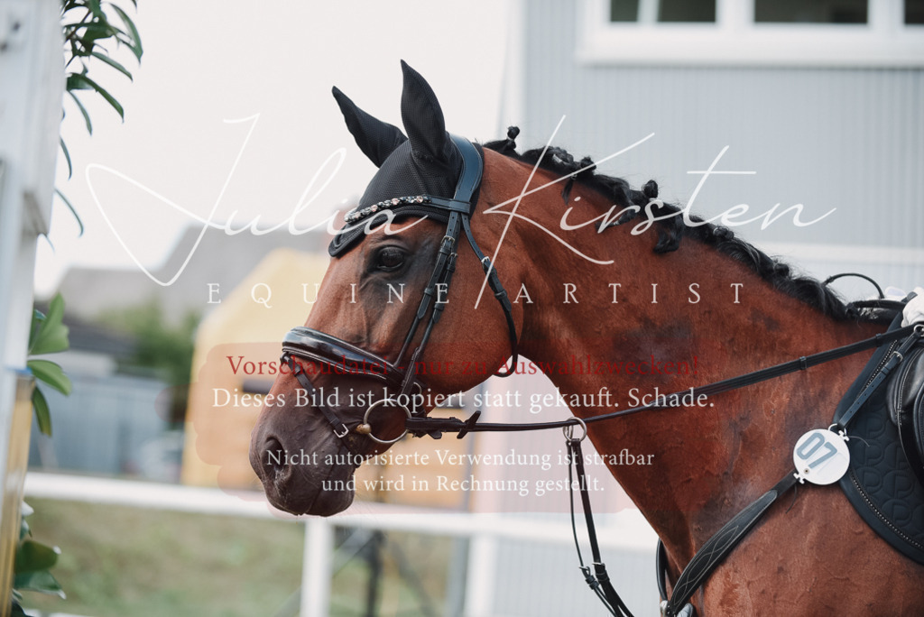 DSC_5649 | Pferde- und Turnierfotografie in Westsachsen. Pferdeportraits, Auftragszeichnungen und intuitive Kunst.