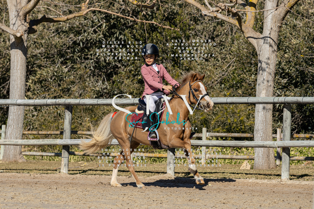 IMG_8752 | s-jay-photography - Realisiert mit Pictrs.com