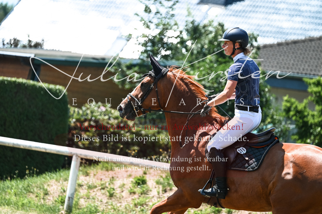 DSC_0123 | Pferde- und Turnierfotografie in Westsachsen. Pferdeportraits, Auftragszeichnungen und intuitive Kunst.