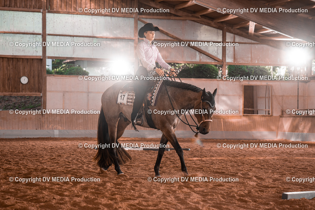 NE200130 | dv-media-shop - Realisiert mit Pictrs.com