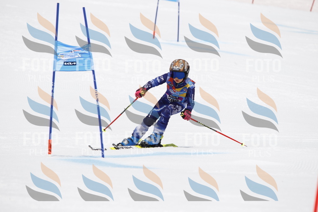 _U3G7058 | holidayphoto