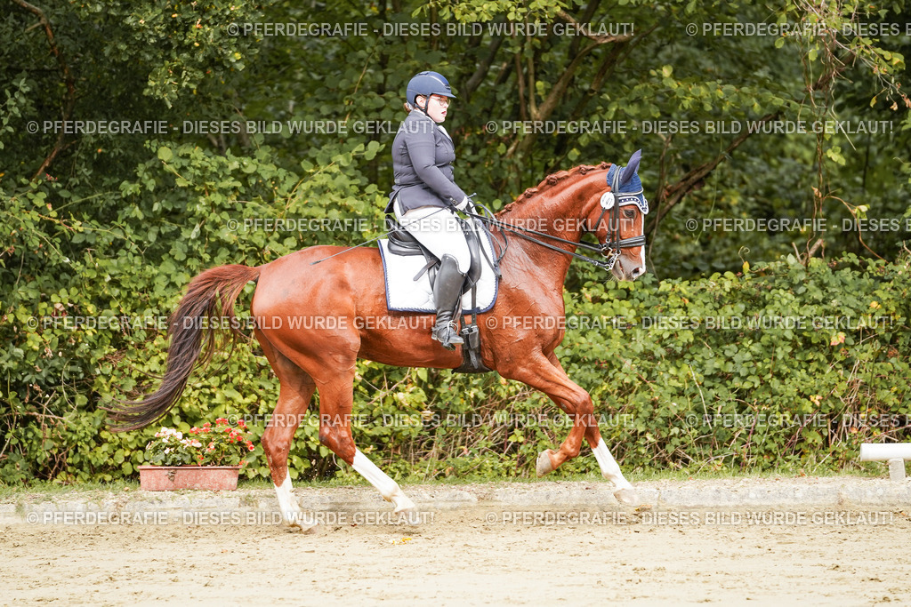 DSC03248 | Pferdegrafie