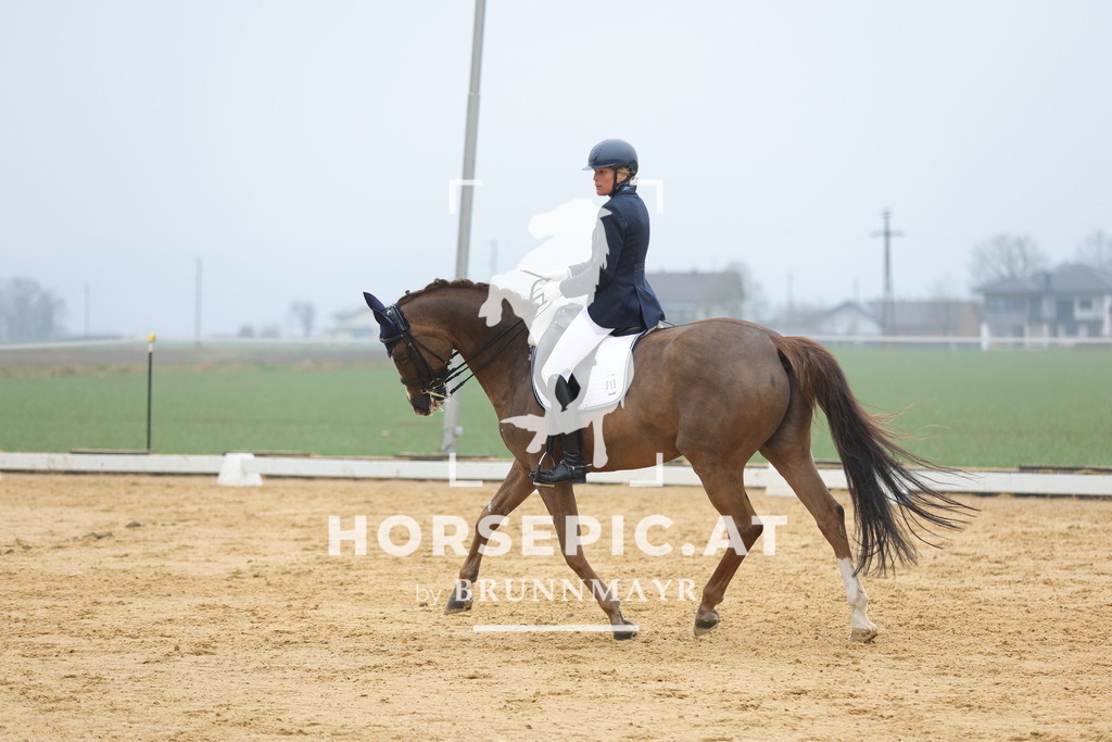 0P6A2889 | Willkommen bei Brunnmayr - Design & Fotografie – Ihrem Spezialisten für Reitturniere und Pferdeveranstaltungen in Oberösterreich, Salzburg und Bayern! Seit über 17 Jahren sind wir leidenschaftlich dabei.