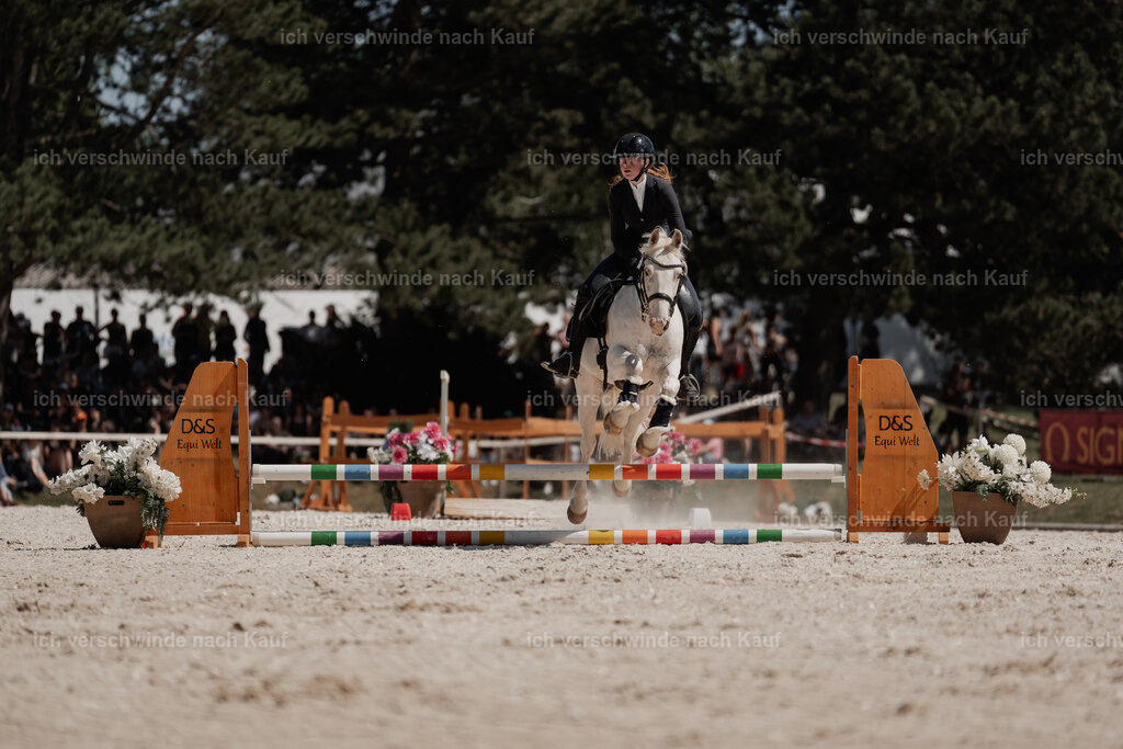 WE_SP_Stoib_318_PI2025_2087 | Pferd International München 2025