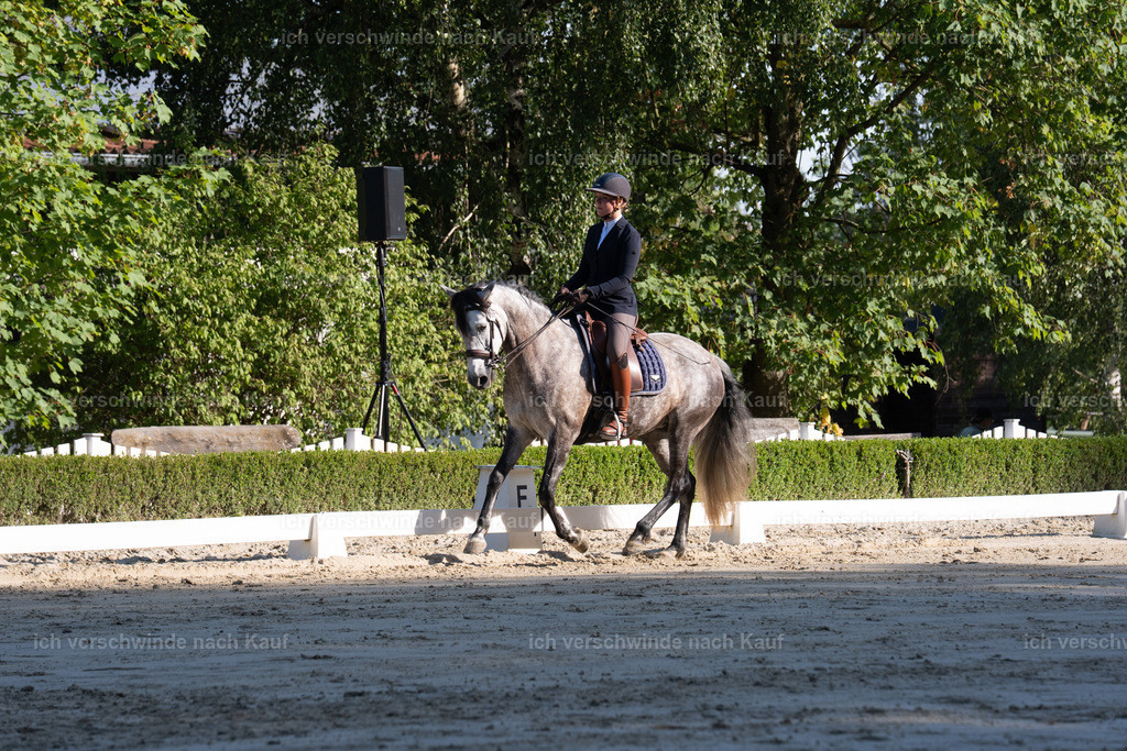 WL_DR_6_sinafilmart_IN05821 | working equitationturnier fotograf videograf stoibphotography marixx film working equitation deutschland reitsport turnierfotografie eventfotografie equestrian events