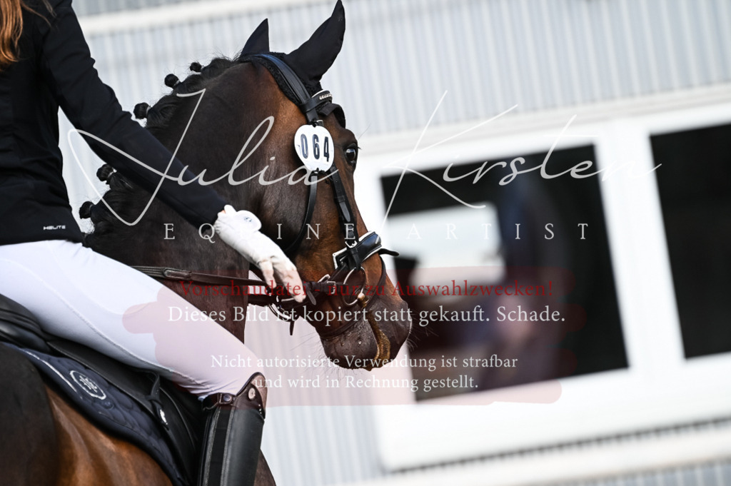 DSC_7573 | Pferde- und Turnierfotografie in Westsachsen. Pferdeportraits, Auftragszeichnungen und intuitive Kunst.
