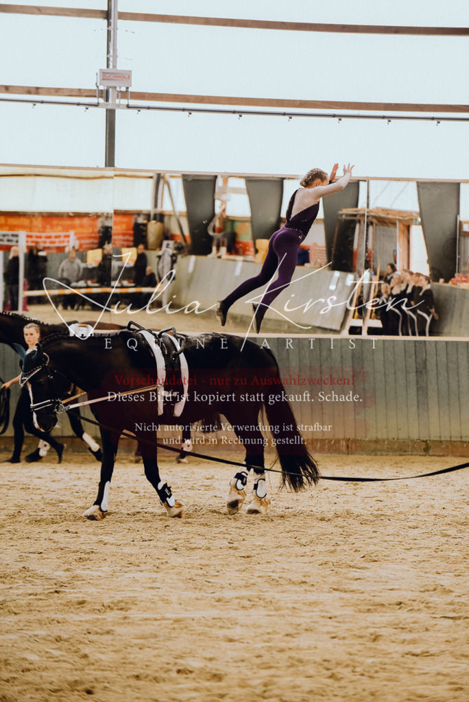 DSC_6886 | Pferde- und Turnierfotografie in Westsachsen. Pferdeportraits, Auftragszeichnungen und intuitive Kunst.