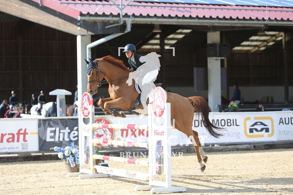 DL2Q0701 | Willkommen bei Brunnmayr - Design & Fotografie – Ihrem Spezialisten für Reitturniere und Pferdeveranstaltungen in Oberösterreich, Salzburg und Bayern! Seit über 17 Jahren sind wir leidenschaftlich dabei.
