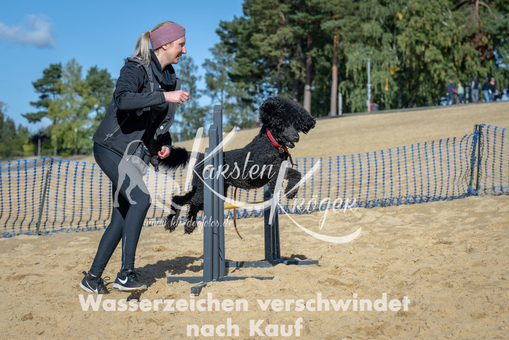 1145_ZZ91963-2 | kk-dogfotos