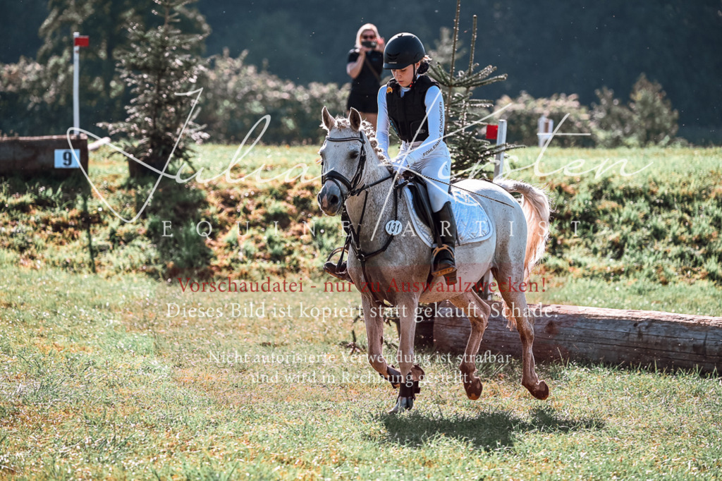DSC_0641 | Pferde- und Turnierfotografie in Westsachsen. Pferdeportraits, Auftragszeichnungen und intuitive Kunst.