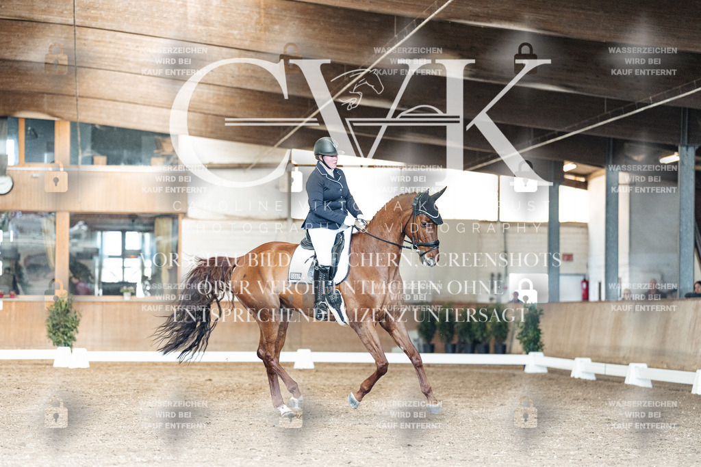CK901689 | Turnierfotografie Pferdefotografie Trier Rheinland-Pfalz Pferdesport Reitsport Tierfotografie Sportfotografie Pferdevideo Pferdevideografie Equestrianvideography equestrianphotography  - Realisiert mit Pictrs.com