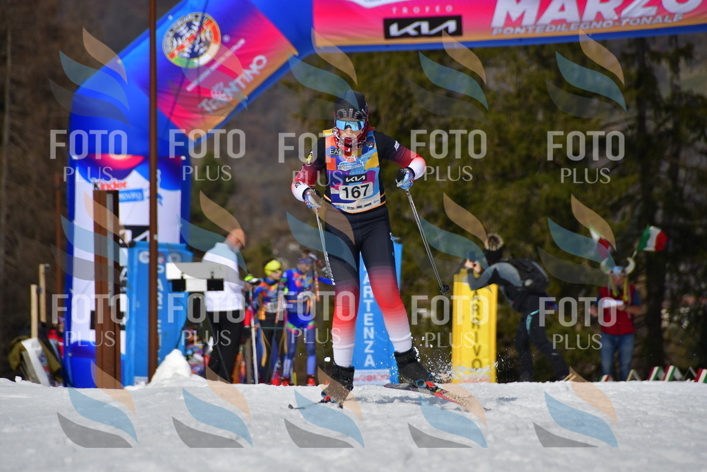 _DSC0522 | holidayphoto