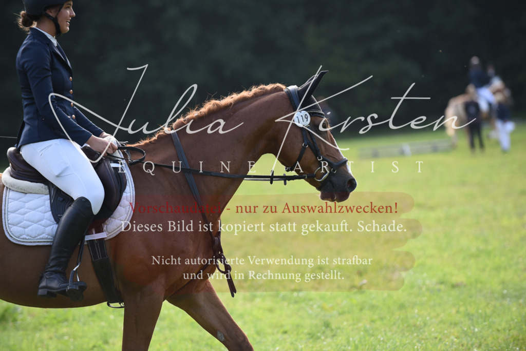 DSC_8541 | Pferde- und Turnierfotografie in Westsachsen. Pferdeportraits, Auftragszeichnungen und intuitive Kunst.