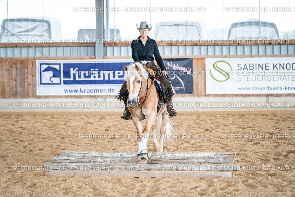 DSC07469 | Pferdegrafie