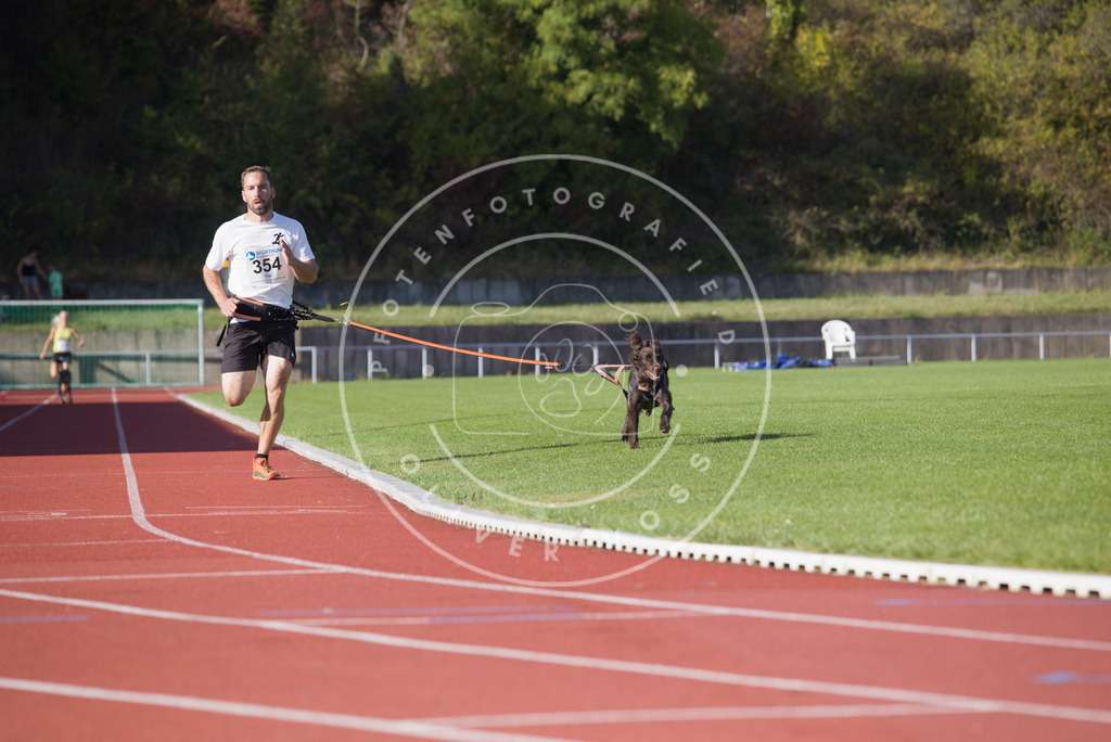 0L8A9853 | Hundefotografie, Tierfotograf, Pfotenfotografie, Fotoshooting Hund, Hunde Portrait, Hundesport, Hundeportraits, Heideshooting, Hunde, Sportfotograf, Hundefotograf, Turnierhundsport, THS,  - Realisiert mit Pictrs.com