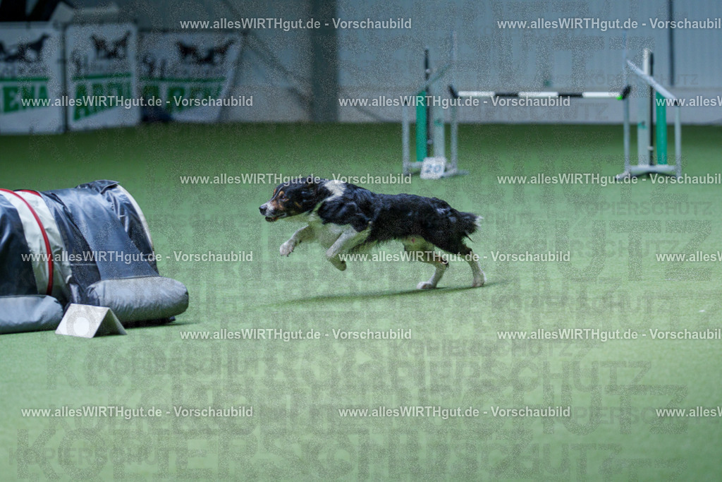 @allesWIRTHgut_Tierfotografie - www.allesWIRTHgut.de - 2604251205-7R500817 | Professionelle Tierfotografie in Mönchengladbach von Daniel Wirth (allesWIRTHgut). Liebevolle & natürliche Bilder von Hunden & Katzen für unvergessliche Erinnerungen.