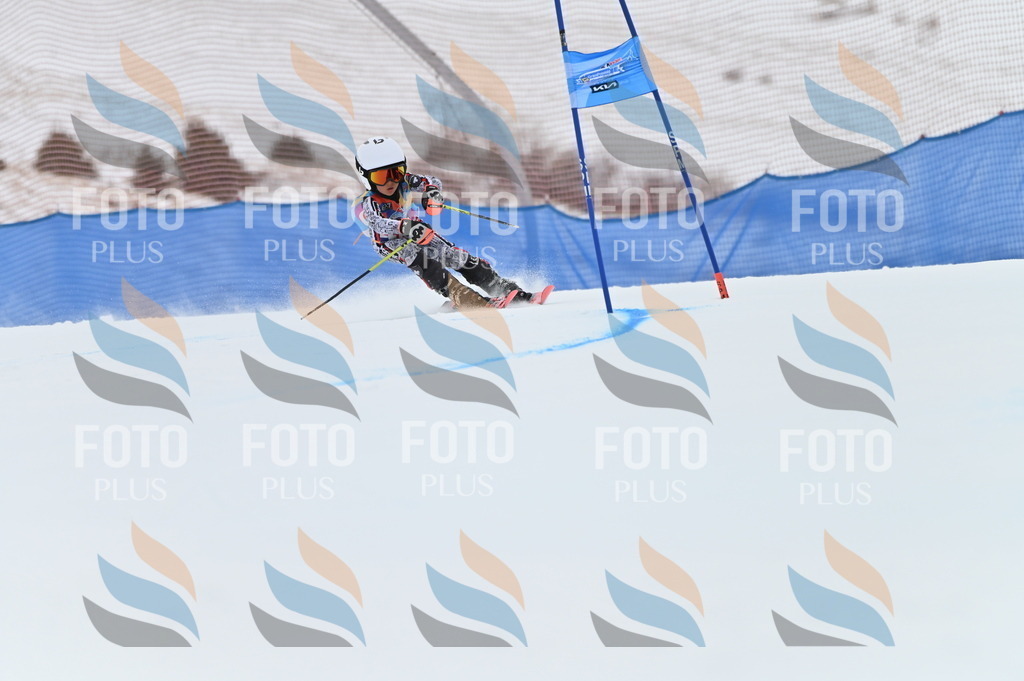 BGV_9831 | holidayphoto