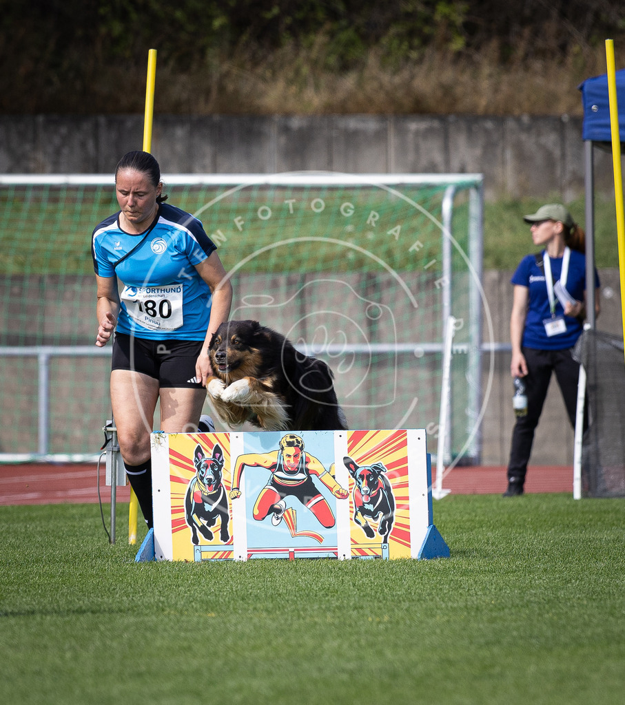 Pfotenfotografie_DV3A0232 | Hundefotografie, Tierfotograf, Pfotenfotografie, Fotoshooting Hund, Hunde Portrait, Hundesport, Hundeportraits, Heideshooting, Hunde, Sportfotograf, Hundefotograf, Turnierhundsport, THS,  - Realisiert mit Pictrs.com