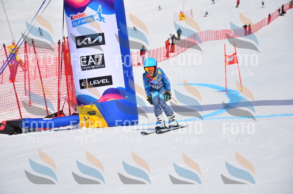 VR4_6726 | holidayphoto