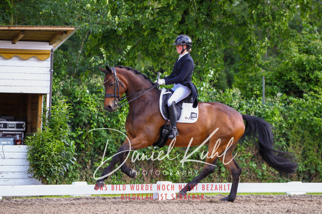 DKP41710 | Deine Turnierfotos vom Reitturnier online kaufen: Dressur, Springen & Siegerehrung. Professionelle Pferdefotografie aus dem Rheinland – als Download & Print.Alternative: Turnierfotograf für den Pferdesport: Finde deine Fotos von Dressur- und Springturnier