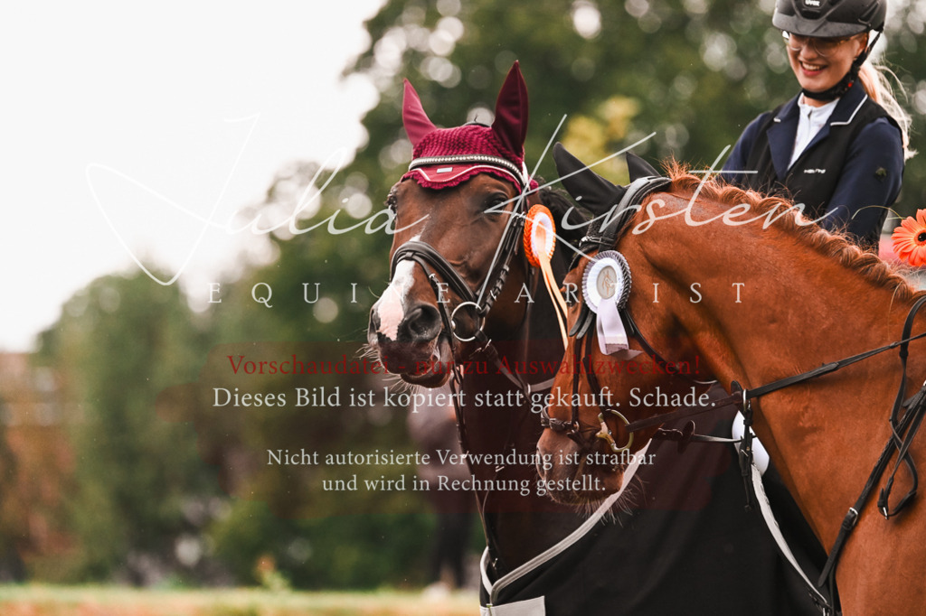 DSC_6675 | Pferde- und Turnierfotografie in Westsachsen. Pferdeportraits, Auftragszeichnungen und intuitive Kunst.