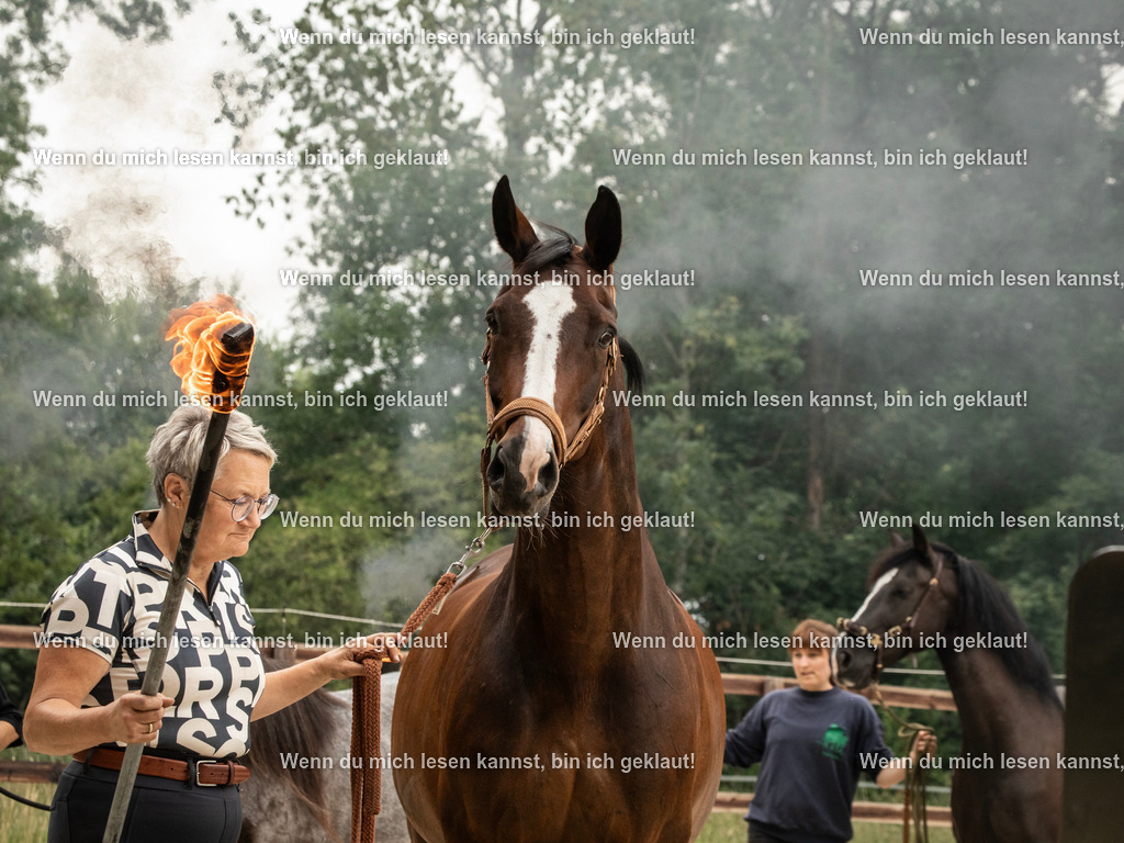 598A7062 | photographylinaismer - Realisiert mit Pictrs.com