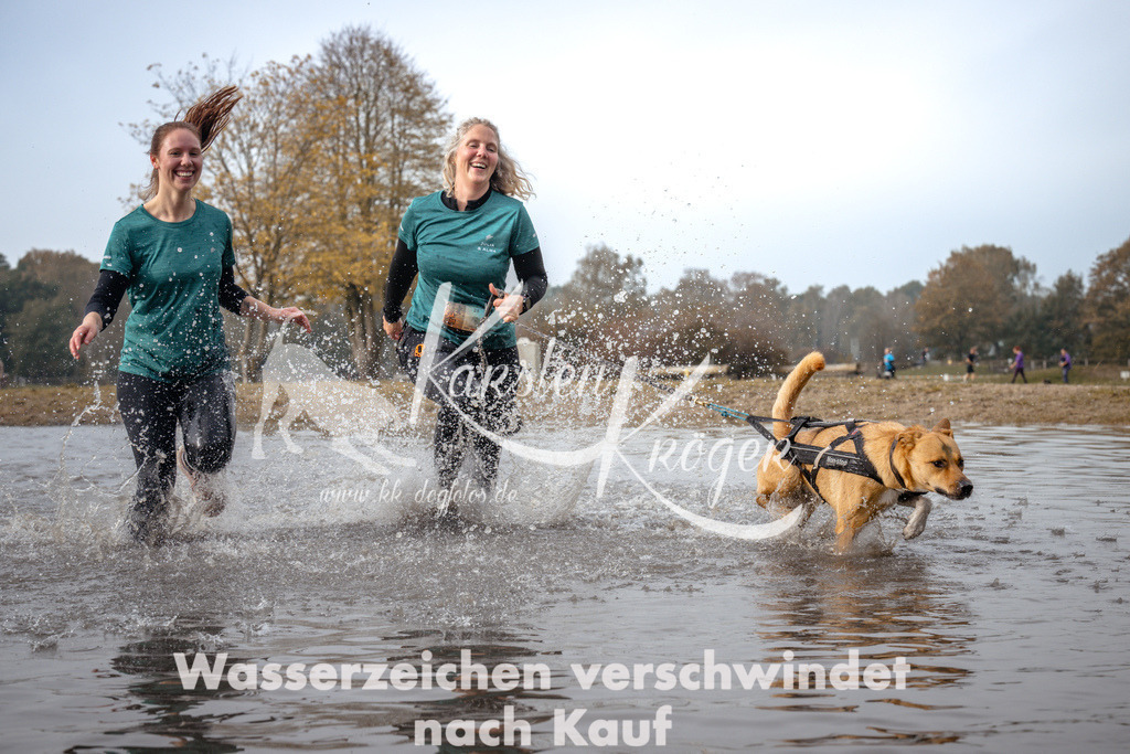1120_ZZ94045 | kk-dogfotos