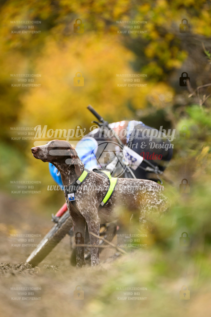 MompixPhotography_ICF_WC_2024_SA_Bike_-399 | PayLife