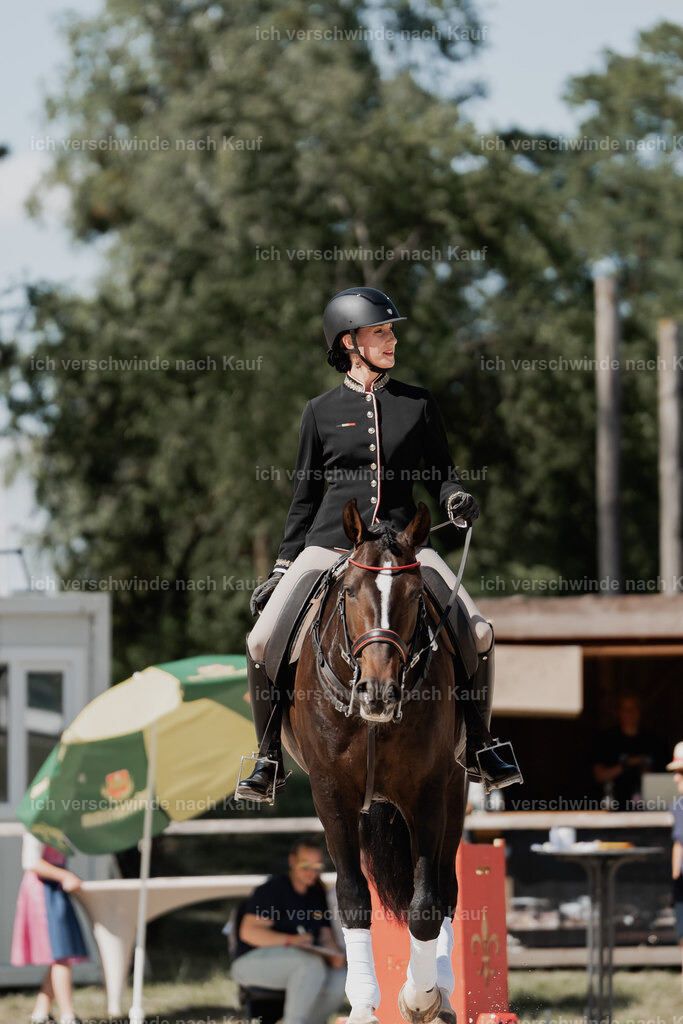 WE_ST_Stoib_330_PI2025_1394 | 330Pferd International München 2025