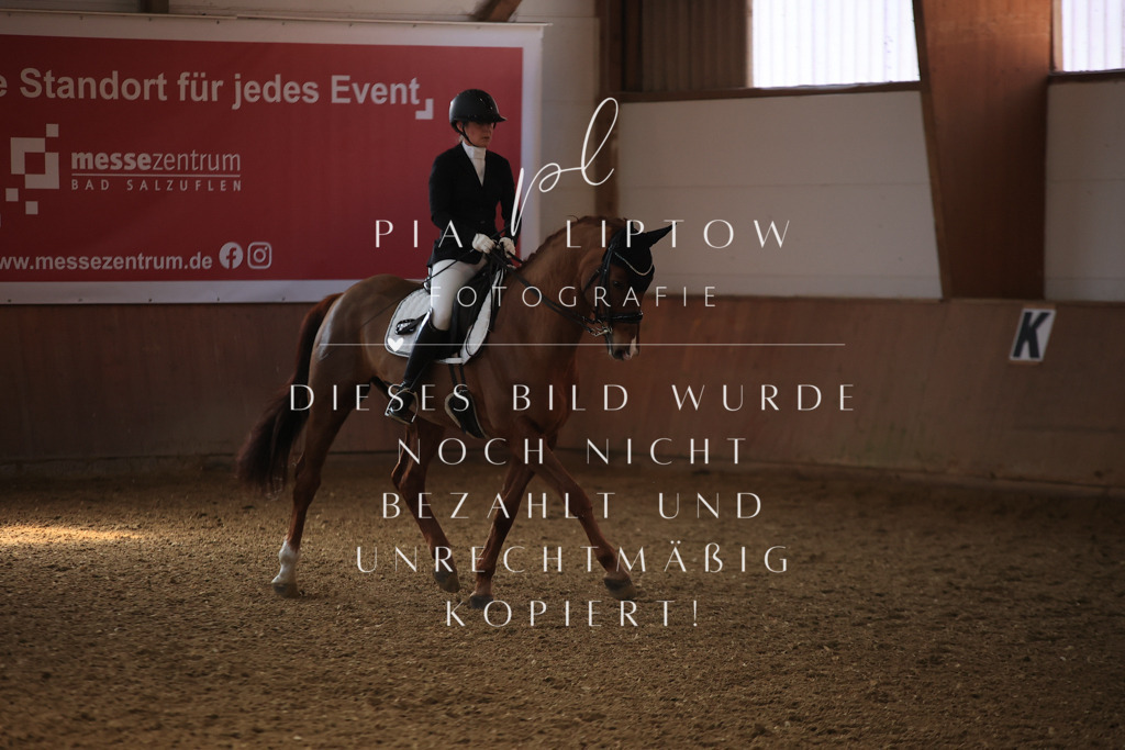 IMGT3382 | pl-fotografie