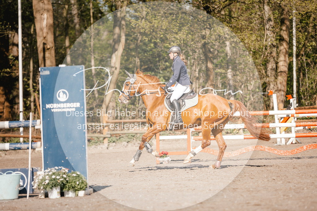 3I6A3726 | Stimmungsvolle Portraits und Reitsportfotografie im Ruhrgebiet und im Münsterland.

Pferdefotografie, Hundefotografie, Tierfotografie, Reportagen, Portraits von Tier und Mensch, Turnierfotografie in Bochum, Recklinghausen, Marl, Haltern am See, Dülmen.. - Realisiert mit Pictrs.com