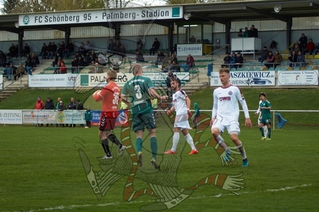 FC Schönberg 95 vs. BFC Dynamo 104 | mythos-online-redaktion