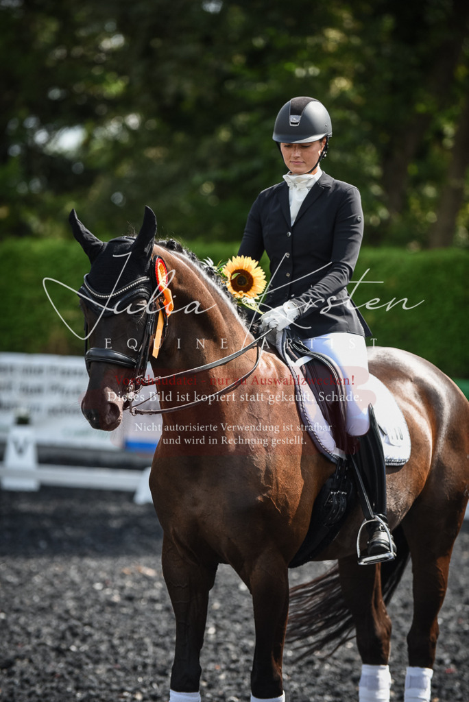 DSC_5138 | Pferde- und Turnierfotografie in Westsachsen. Pferdeportraits, Auftragszeichnungen und intuitive Kunst.