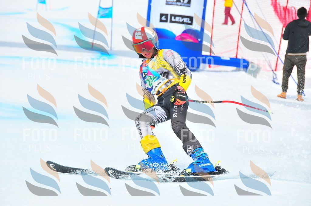 DSC_2156 | holidayphoto