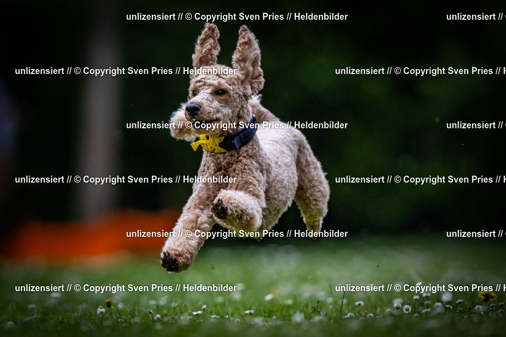 Sven Pries | 2025-05-29 - Pudelrennen KA-Durlach - Realisiert mit Pictrs.com