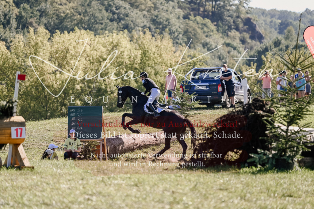 DSC_3535 | Pferde- und Turnierfotografie in Westsachsen. Pferdeportraits, Auftragszeichnungen und intuitive Kunst.