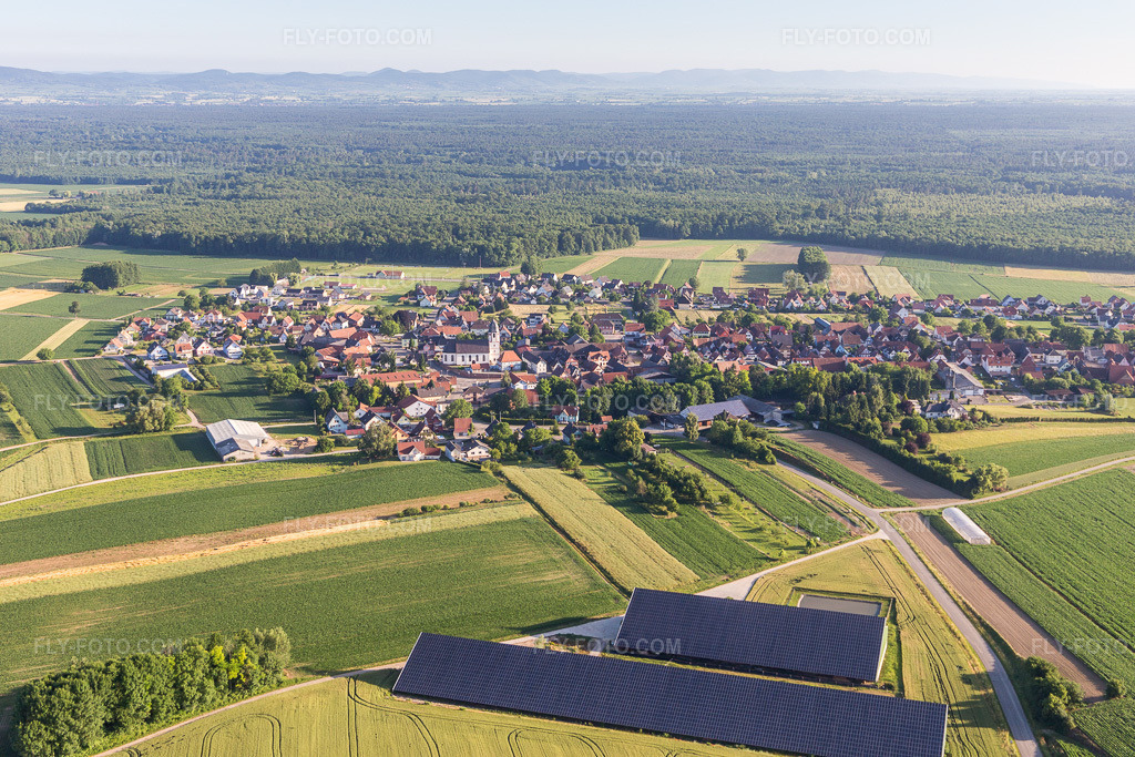 Aerial view: Panel rows of the photovoltaic system on the roof of agricultural barns in Niederlauterbach in the state Bas-Rhin, France.Photo: IMG_100957.jpg taken on 06/17/2017 by Werner Riehm/FLY-FOTO.comResolution of the original: 5472 x 3648 px