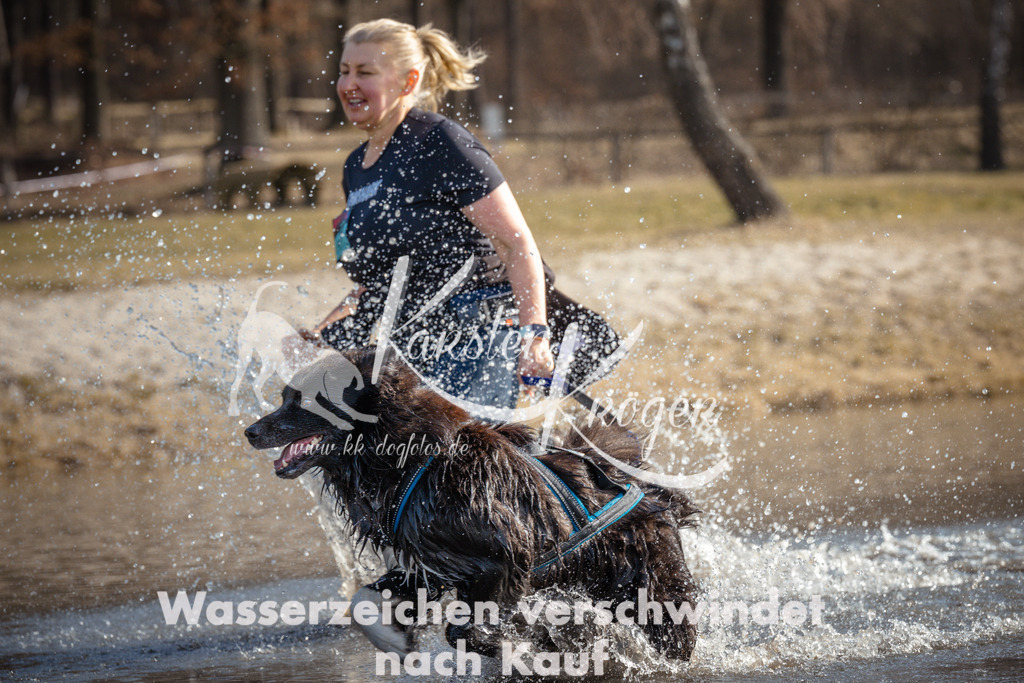 1117_ZZ93582 | kk-dogfotos