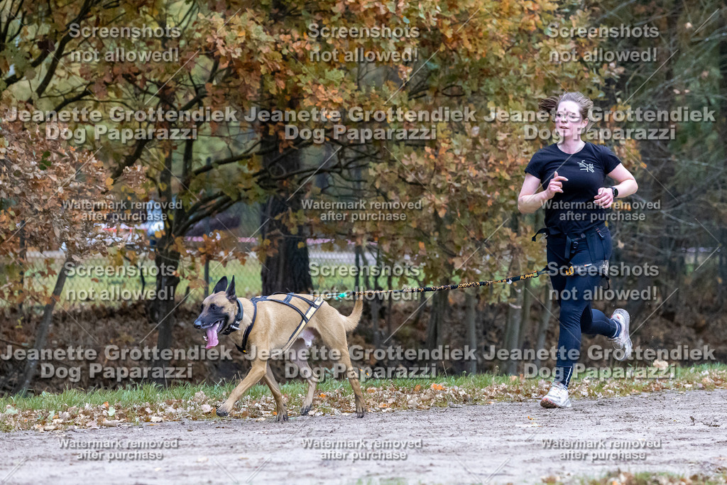 Dog Paparazzi - SD CaniX Championship 2025-147 | Dog Paparazzi Jeanette Grottendiek Fotografie & Videografie - Realisiert mit Pictrs.com