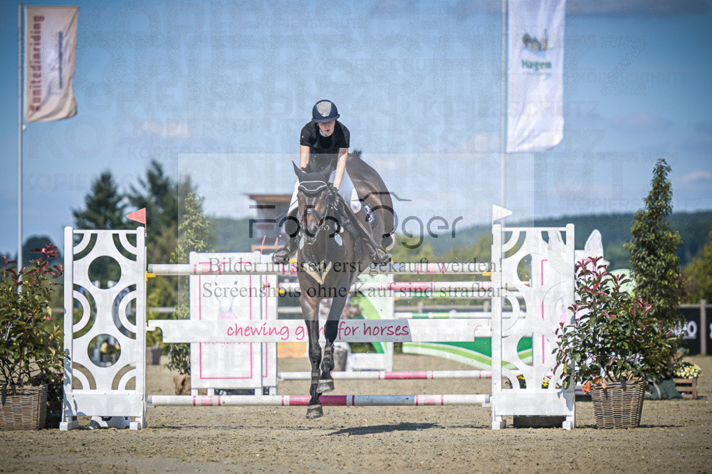 DOS_3312 | Entdecke hochwertige Reitturnierfotos von Foto Oger. Professionell, emotional und authentisch – jetzt Lieblingsmomente im Shop bestellen.Deutschlandweite Turnierfotografie. - Realisiert mit Pictrs.com