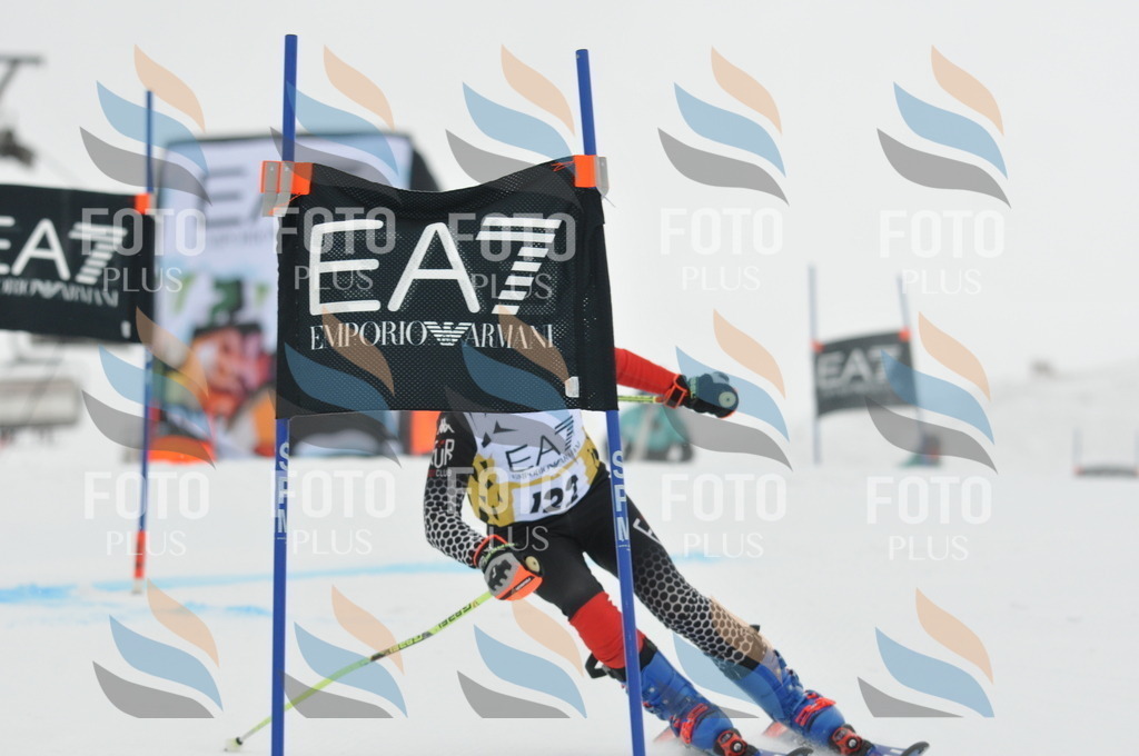 DSC_8231 | holidayphoto