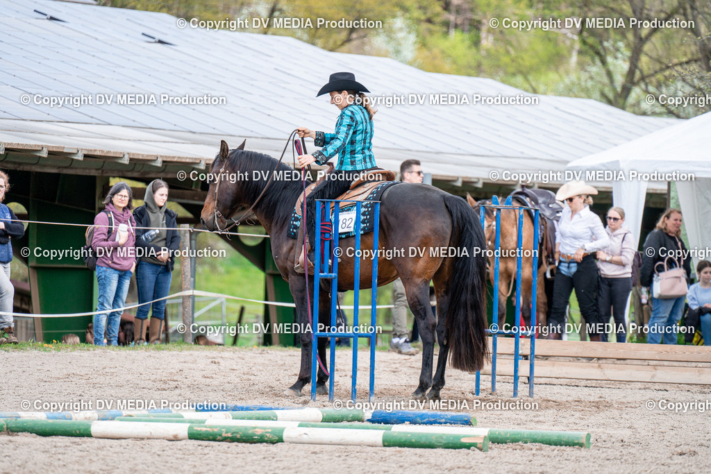 BAL02402 | dv-media-shop - Realisiert mit Pictrs.com