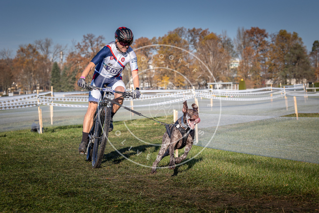 CaniXpix_0L8A4510 | Hundefotografie, Tierfotograf, Pfotenfotografie, Fotoshooting Hund, Hunde Portrait, Hundesport, Hundeportraits, Heideshooting, Hunde, Sportfotograf, Hundefotograf, Turnierhundsport, THS,  - Realisiert mit Pictrs.com