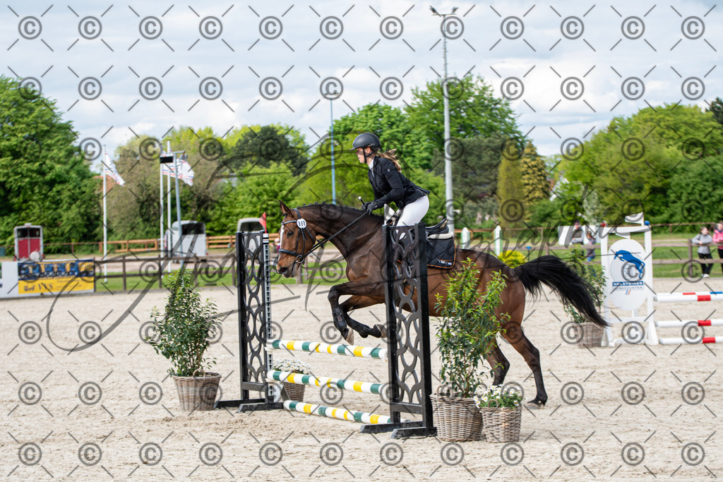 KPT_6549 | andre_photographic