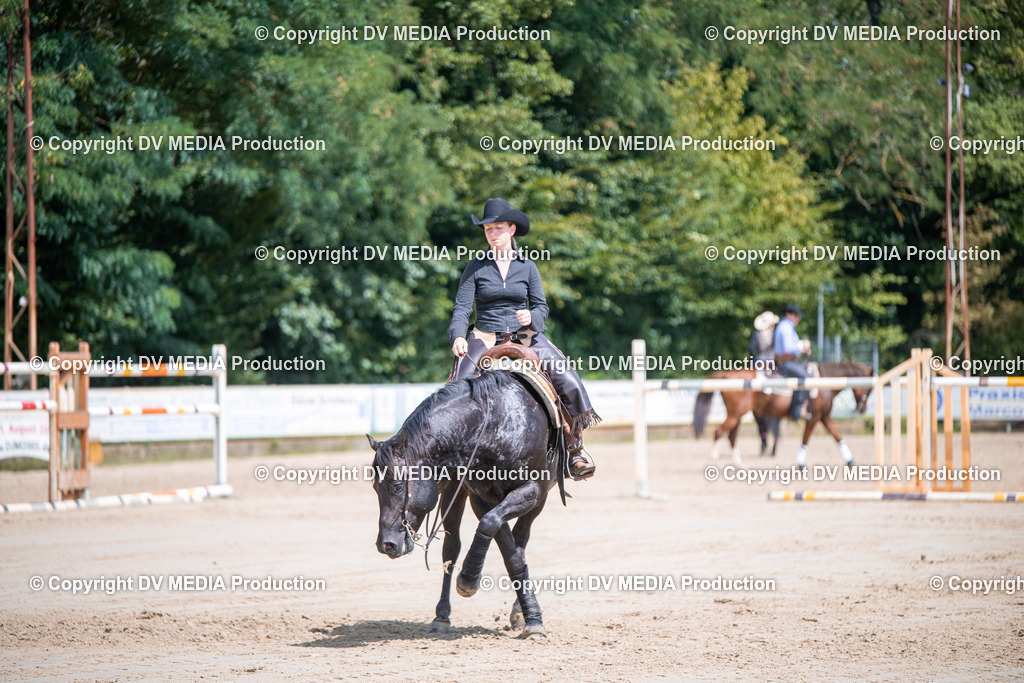 ZS3_5240 | dv-media-shop - Realisiert mit Pictrs.com