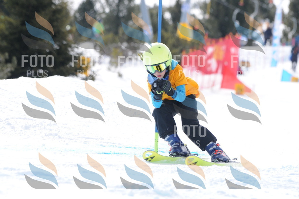 C7691 | holidayphoto