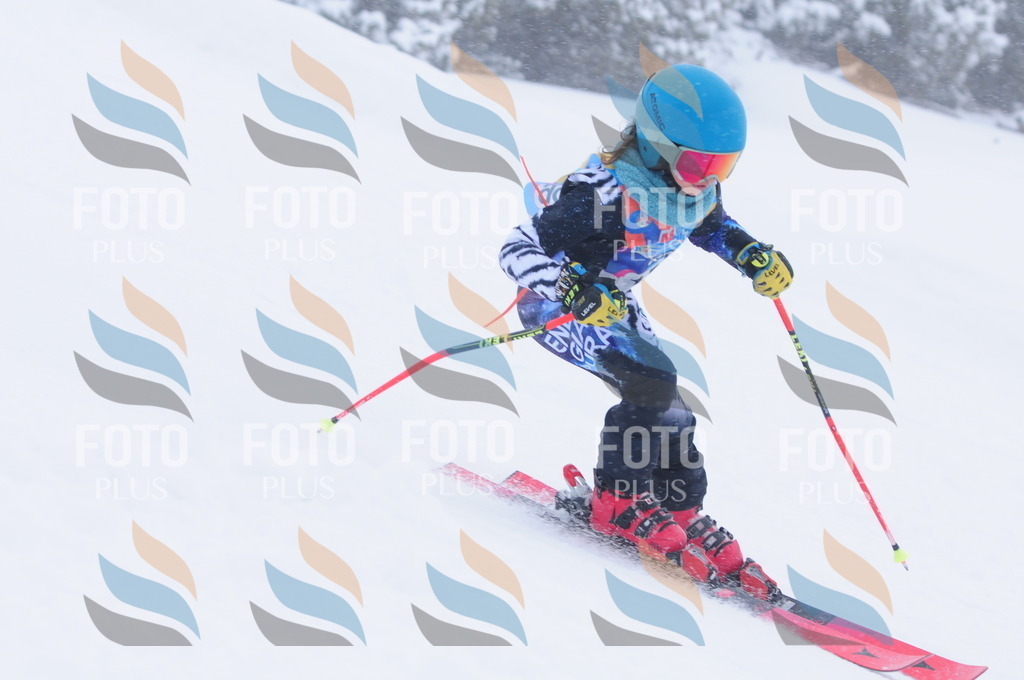 C1860 | holidayphoto