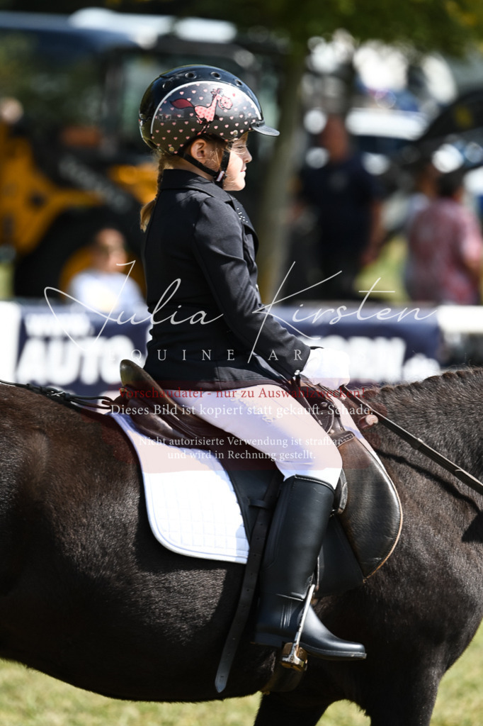 DSC_6806 | Pferde- und Turnierfotografie in Westsachsen. Pferdeportraits, Auftragszeichnungen und intuitive Kunst.