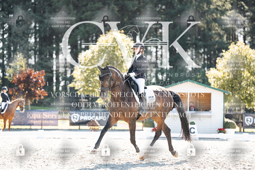 CK905951 | Turnierfotografie Pferdefotografie Trier Rheinland-Pfalz Pferdesport Reitsport Tierfotografie Sportfotografie Pferdevideo Pferdevideografie Equestrianvideography equestrianphotography  - Realisiert mit Pictrs.com
